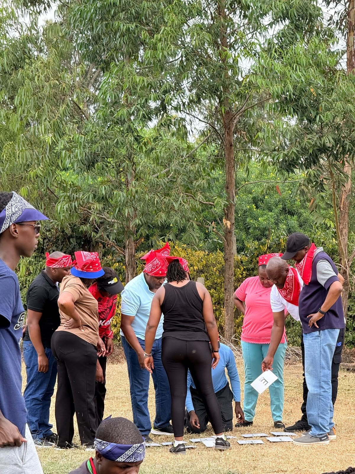 Photograph from a facilitated team development programme by The Team Building Company