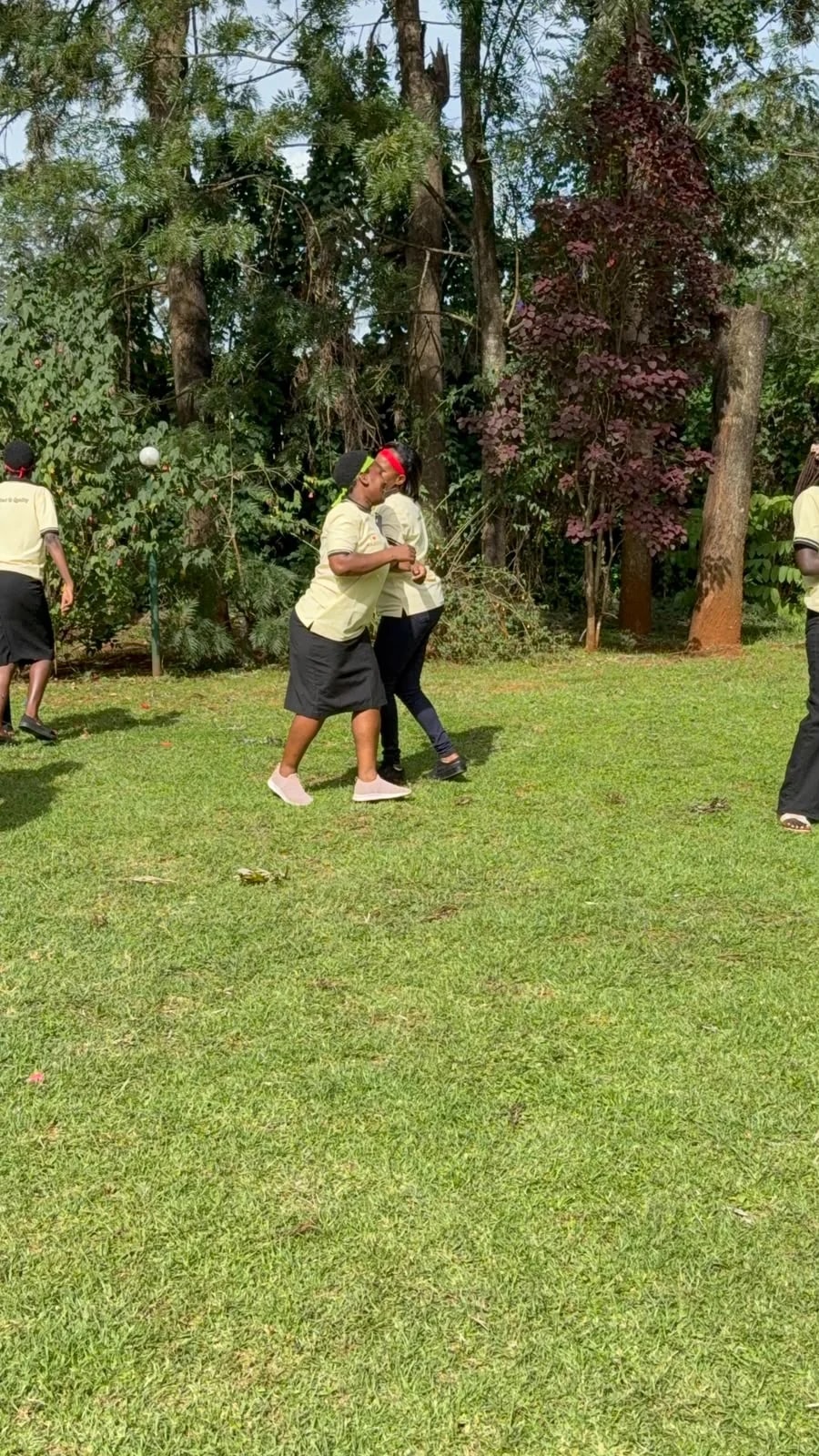 Photograph from a facilitated team development programme by The Team Building Company